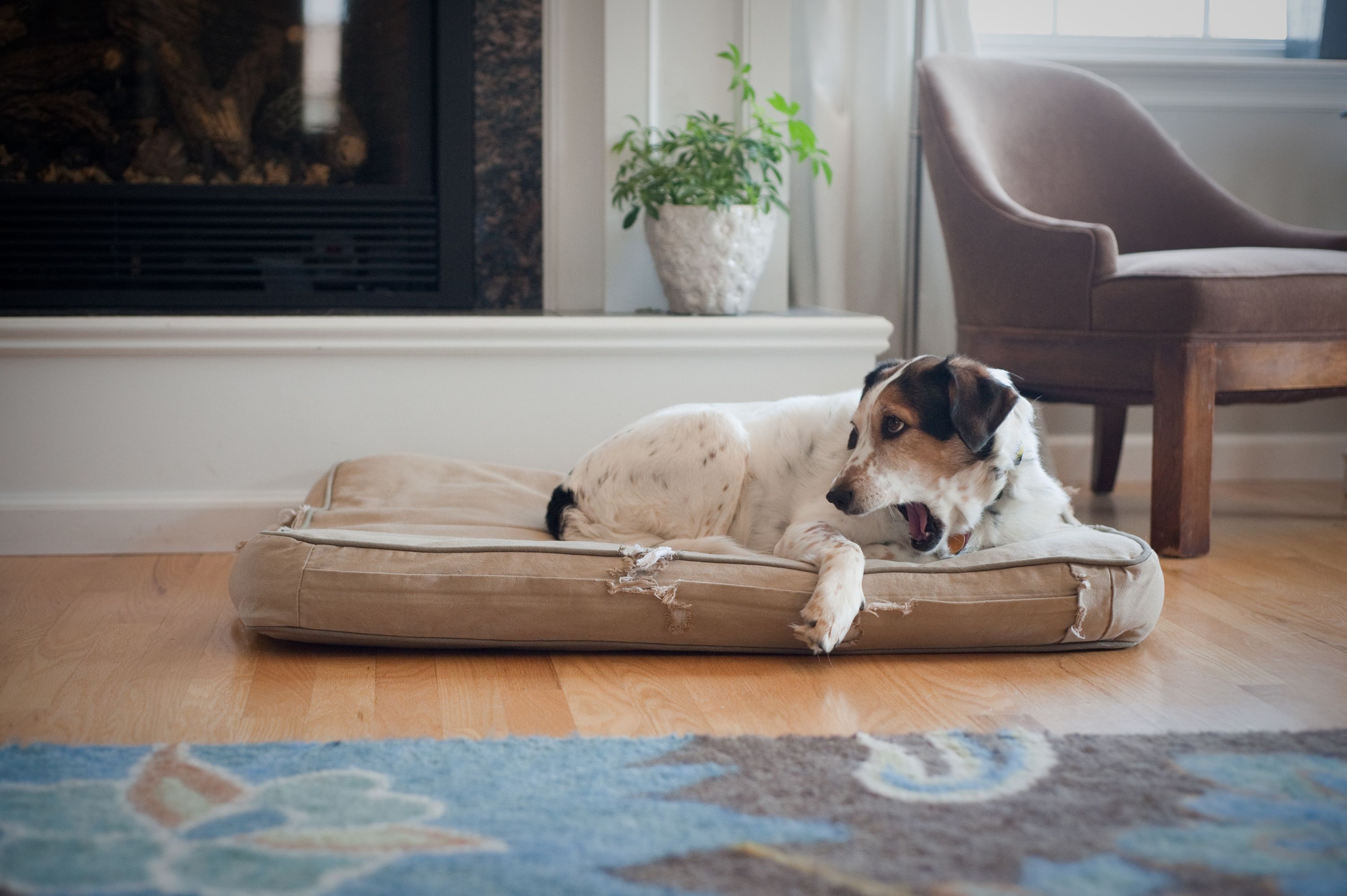 These Stories… – I Hate Houseguests These Stories… – I Hate Houseguests