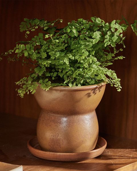 houseplant planter vase ashtray