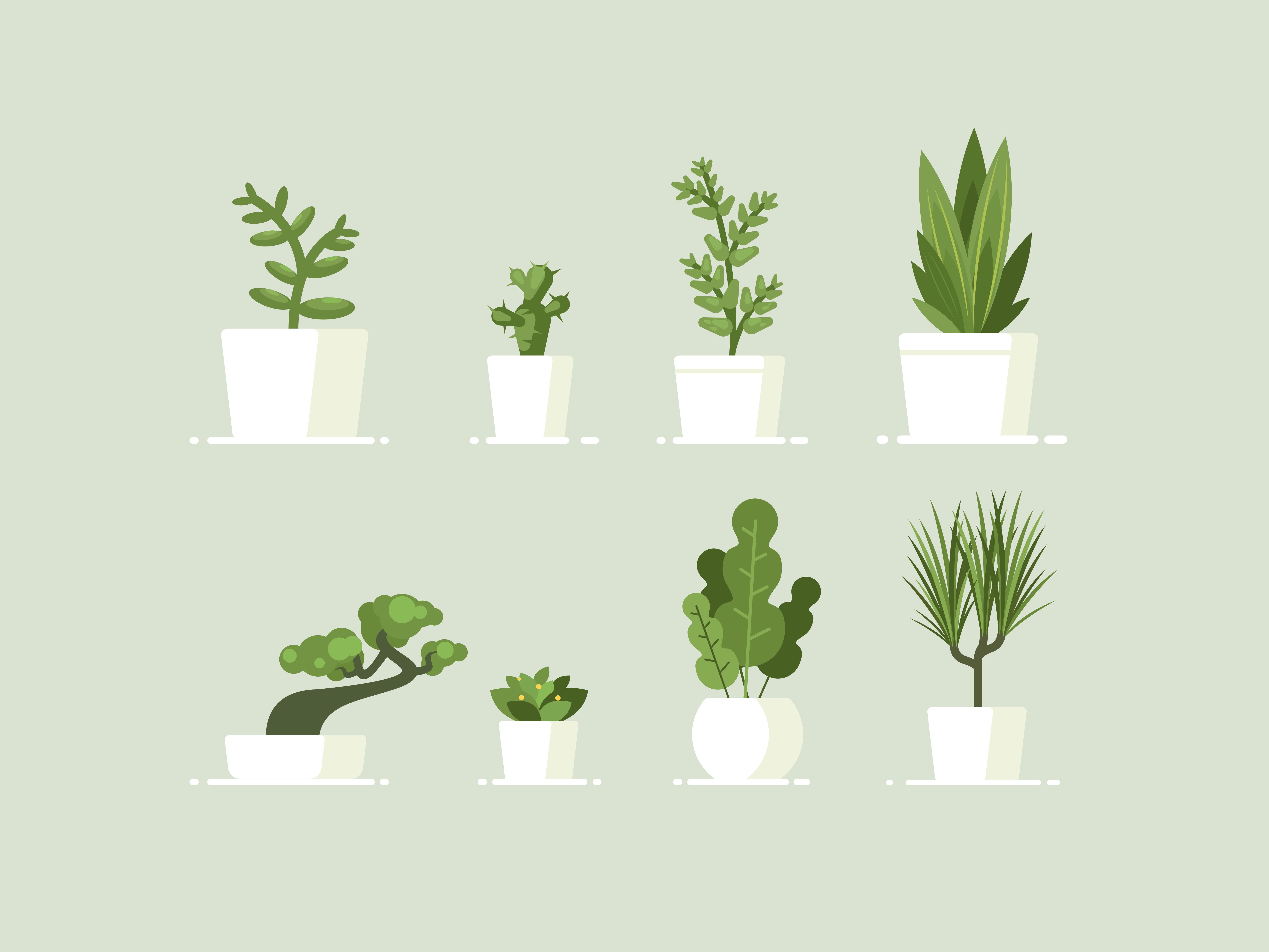 Best Indoor Plants And How To Care For Them