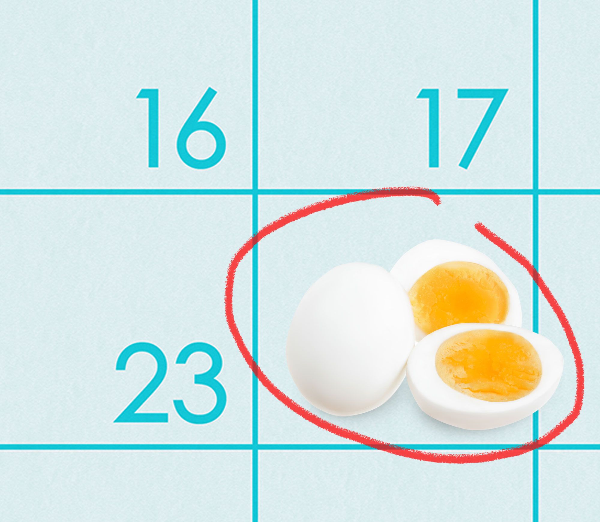 How Long Do Hard Boiled Eggs Last How To Store Hard Boiled Eggs