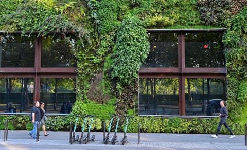 Tips For Designing A Living Wall How To Build A Green Wall