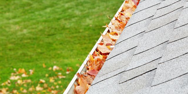 How To Clean Gutters Much, How To Clean Rain Gutters From Ground