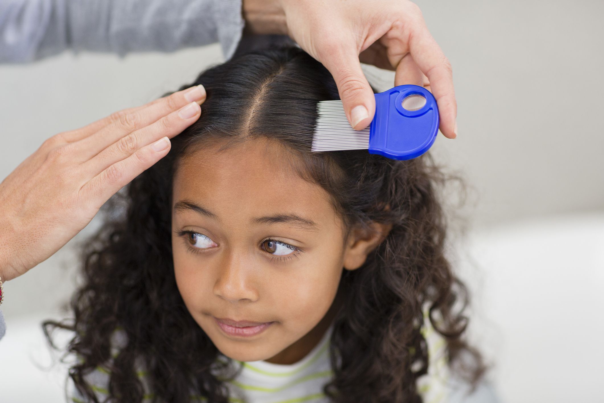 Fringe Salon - This year head lice has been the worst we have seen in a  long time. Here's a few tips for treatment, removal and prevention: If you  see that you