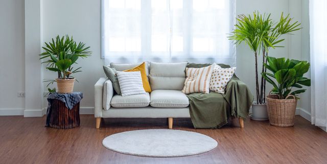 how to keep your sofa looking new