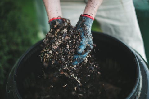 how to make compost, man hold out his hands with gardening gloves holding out hand fulls of compost from his compost bin