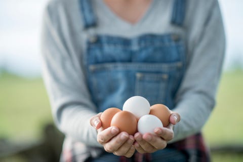 how to peel hard boiled eggs