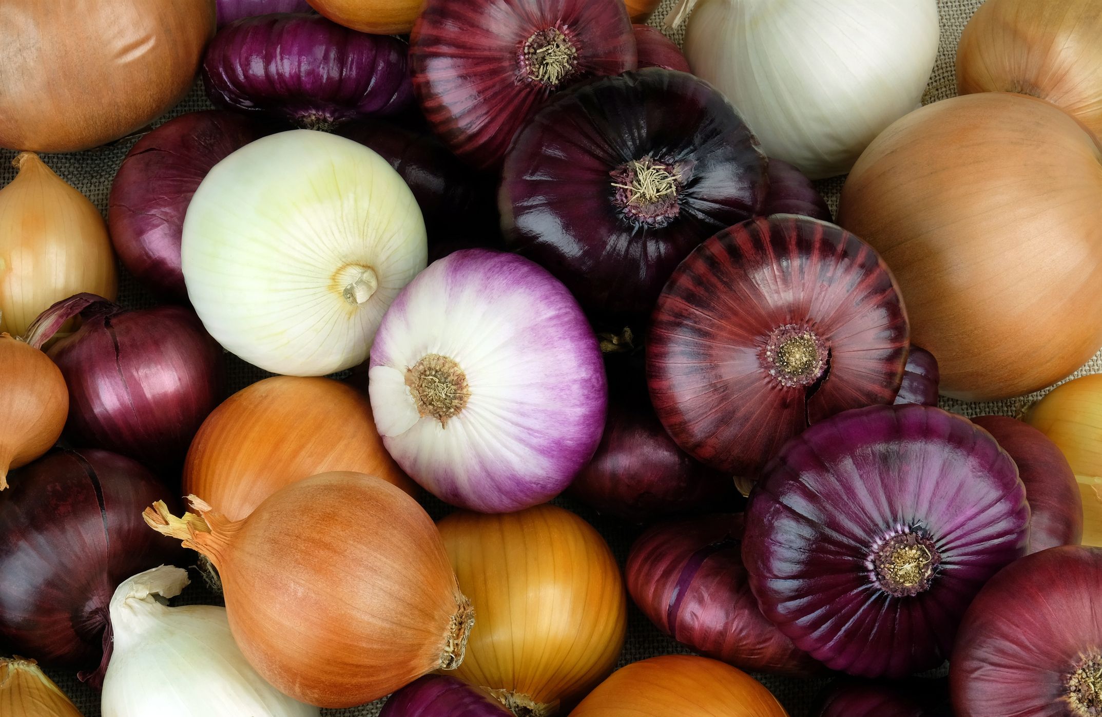 types of onion plants