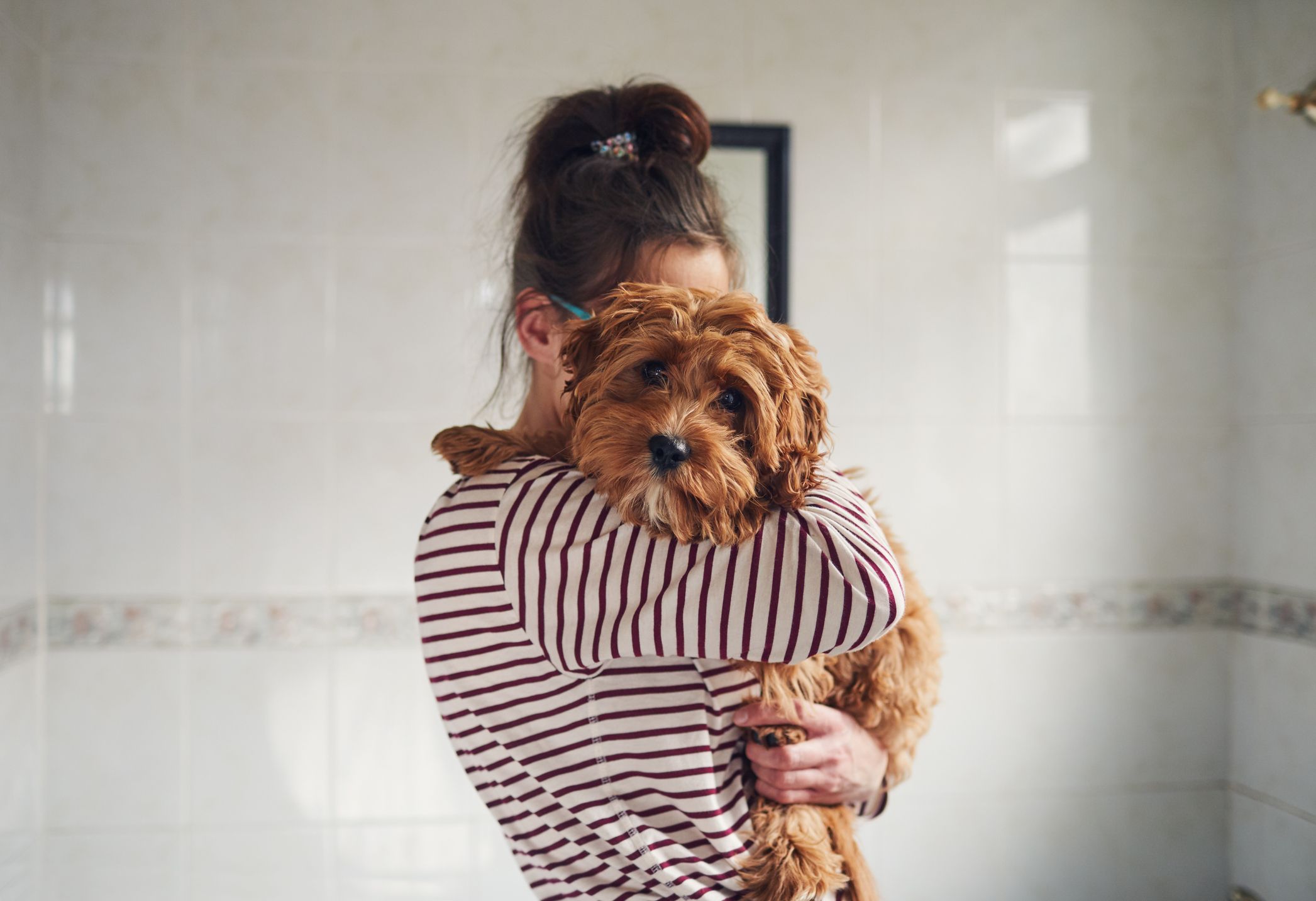 how to get dog hair out of wool coat