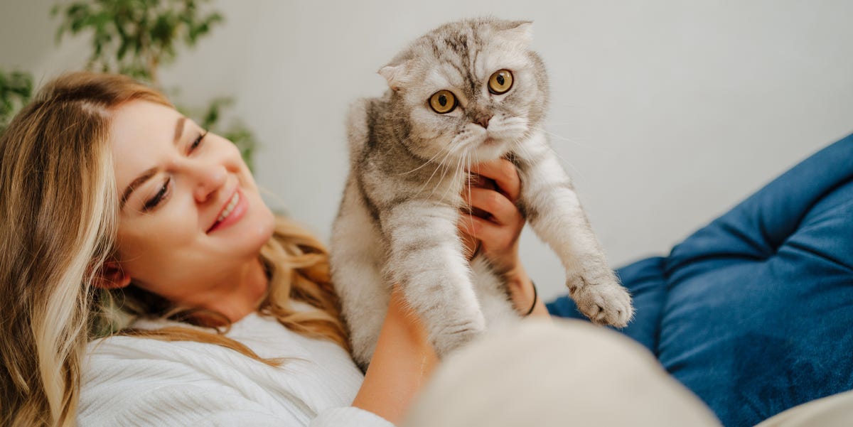 How to remove pet hair - pet hair removal tips How to remove pet hair - pet hair removal tips