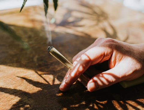 hand holding a spliff in a sunny home environment with a cannabis plant casting a shadow onto wooden table