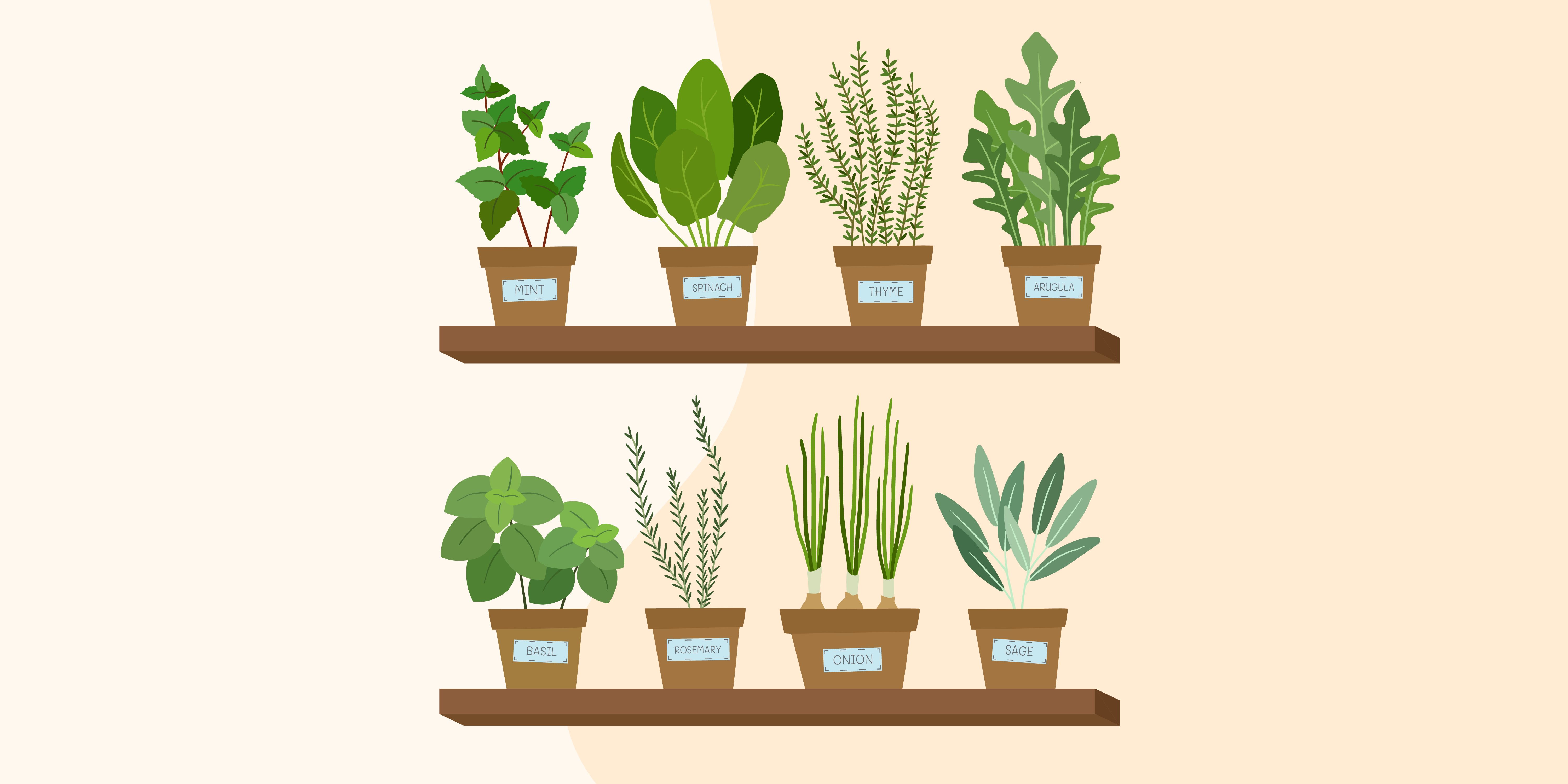18 Ideas for Growing Vegetables Indoors   Indoor Vegetable Garden ...
