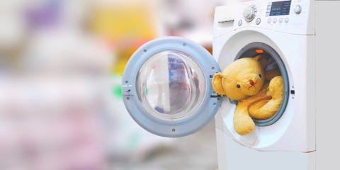 teddy washing