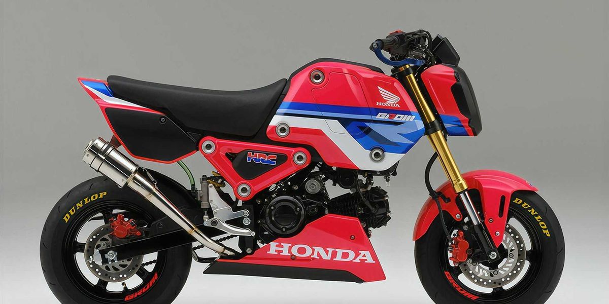 I Want 15 Of These Race Prepped Honda Groms