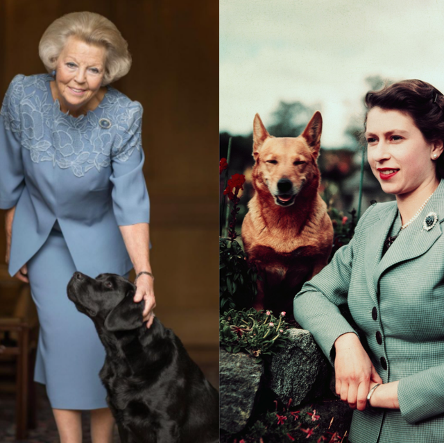 Royals en hun huisdieren de leukste koninklijke viervoeters