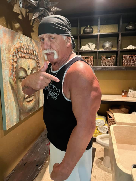 Hulk Hogan Is Down to His '9th Grade Weight' in New Photo