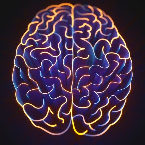 Human brain, illustration Human brain, illustration