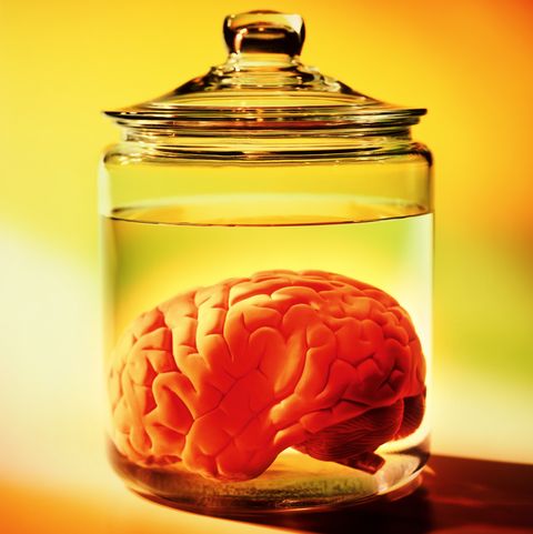 Human brain in jar