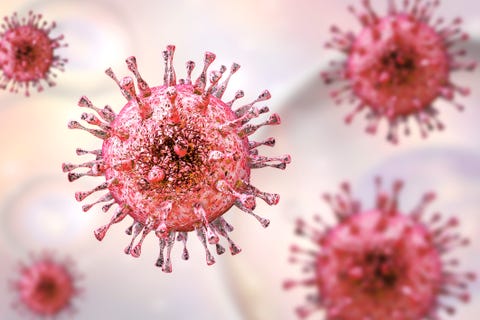 Herpes genital: qué es y cuándo puede retomarse el sexo Herpes genital: qué es y cuándo puede retomarse el sexo