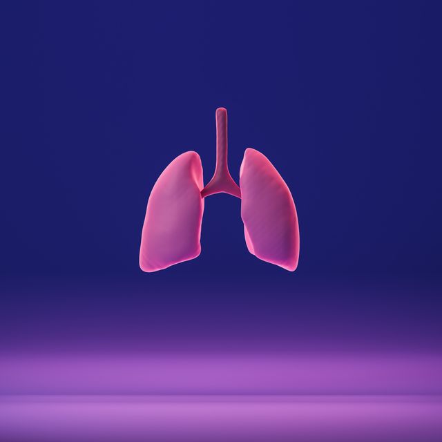 human lung on blue and pink color gradient 3d model of internal organ