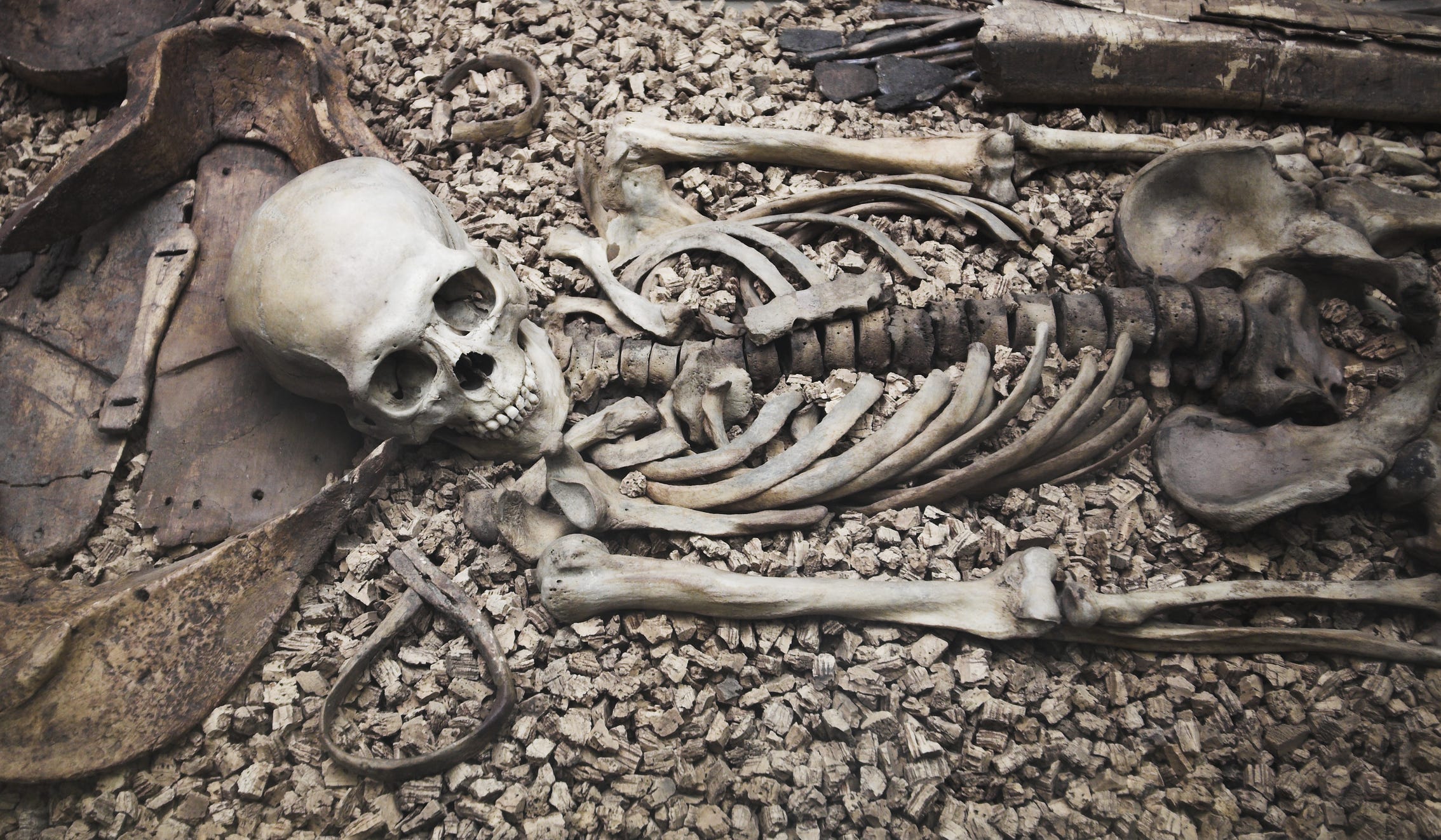 Archaeologists Found Remarkably Preserved Skeletons in an Ancient Viking Burial Ground