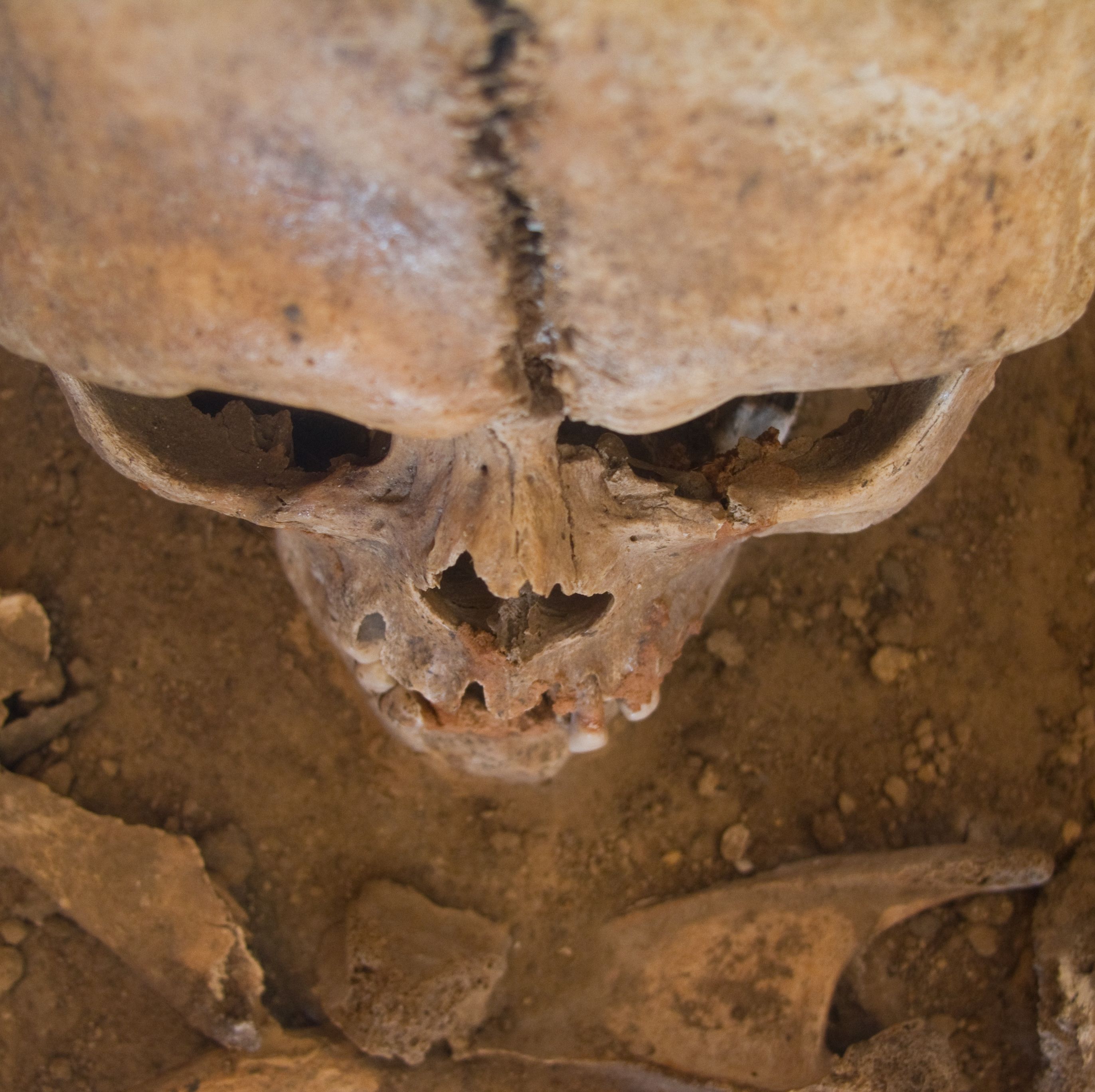 Archaeologists Found 317 Skeletons Buried Under a Department Store