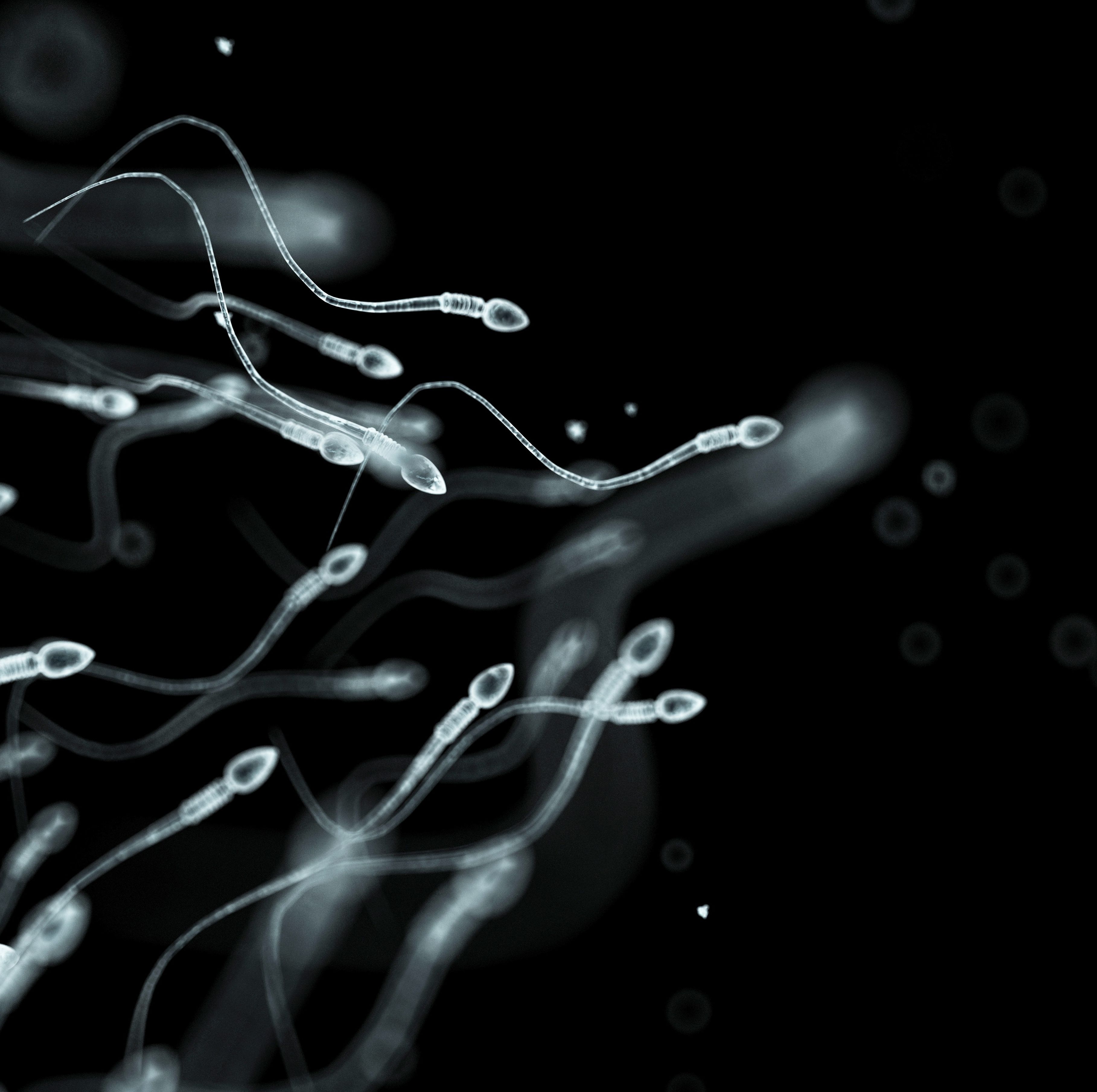 How Human Sperm and Other 'Microswimmers' Are Making Scientists Rethink the Laws of Physics