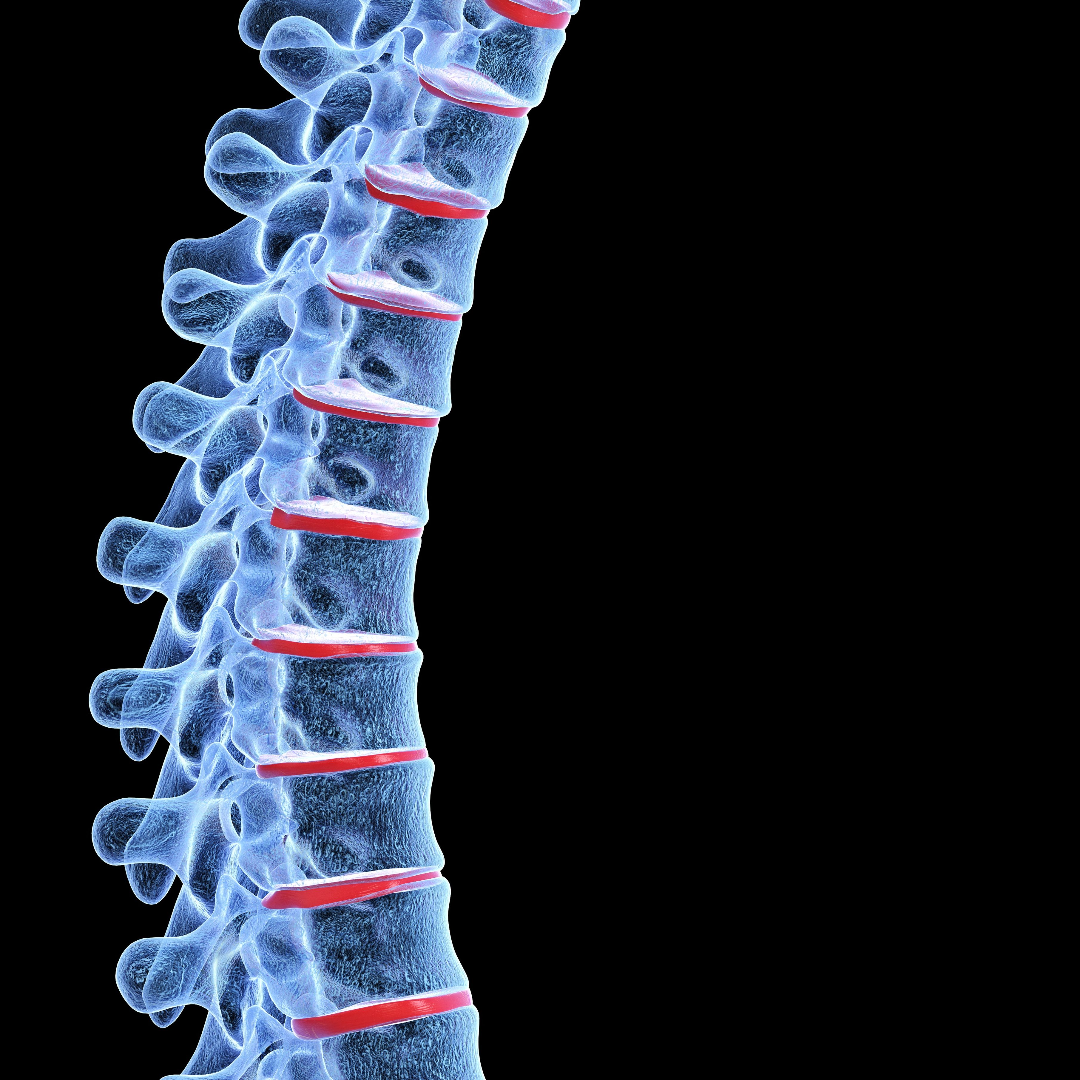 Scientists Have Grown a Human Spine In a Lab