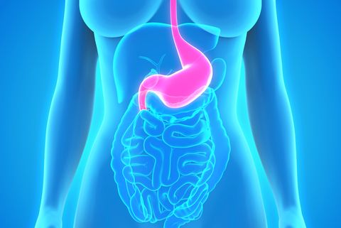9 Digestive Problems That Cause Weight Gain - Dealing with ...