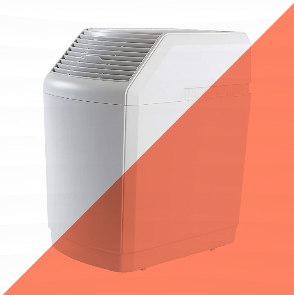 7 Best Whole House Humidifiers That Fight Dry Winter Air