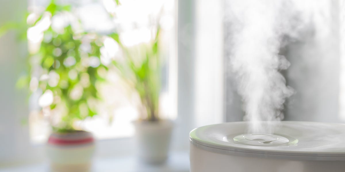 These Top-Rated Humidifiers Will Save Your Dry Skin This Cold and Flu Season