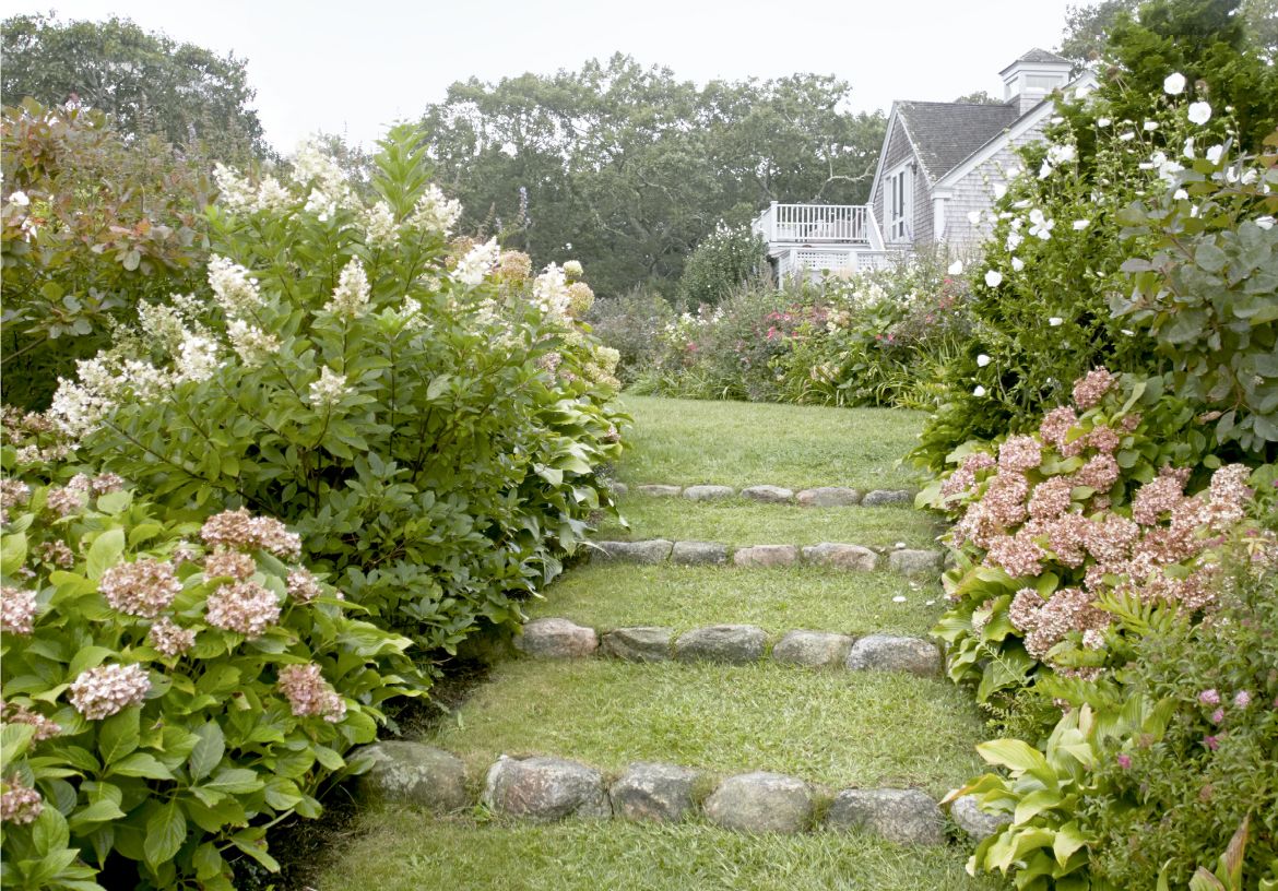 landscaping ideas hydrangeas