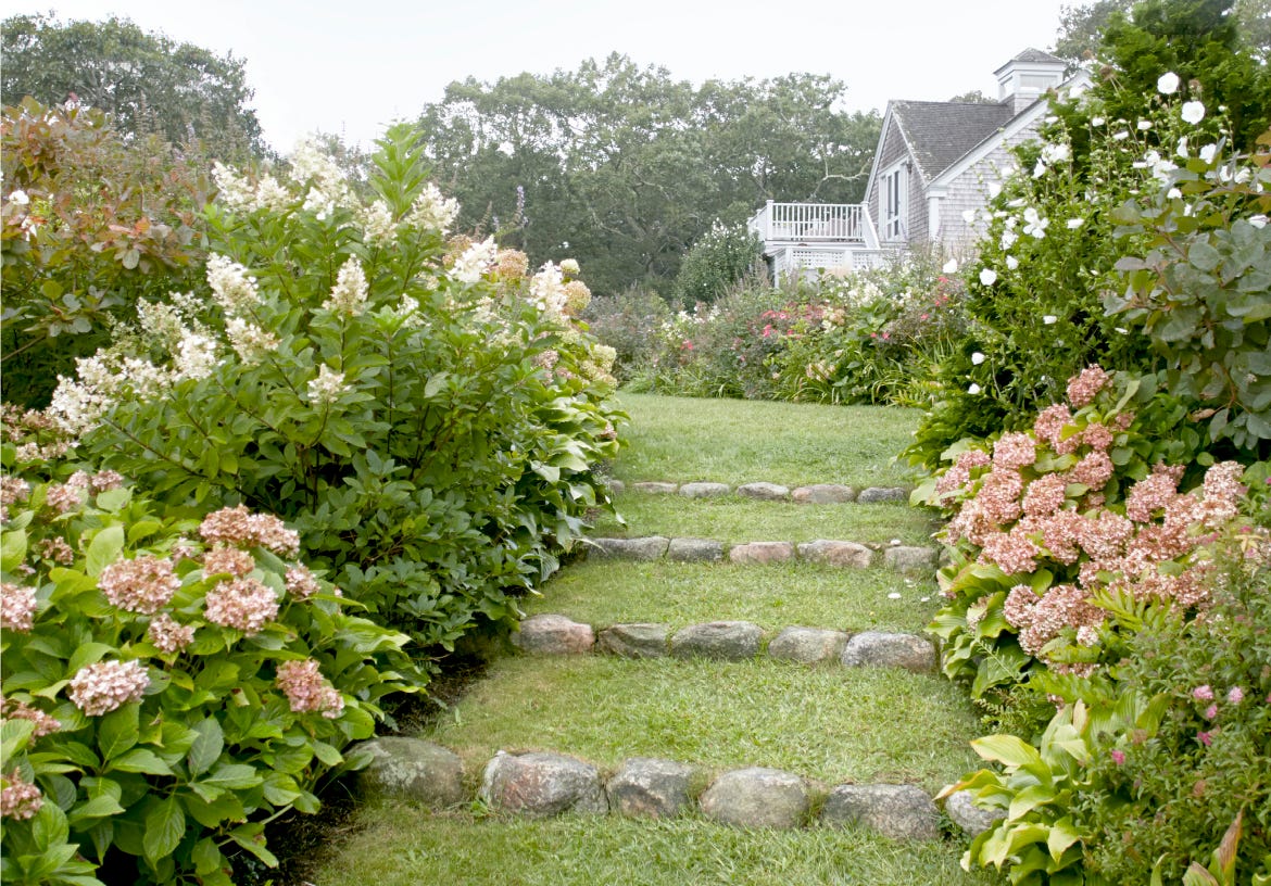 5 Main Types Of Hydrangeas What To Know About Popular Hydrangeas
