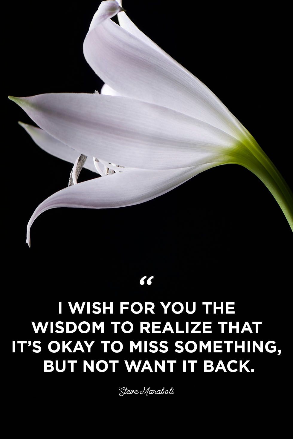 30 I Miss You Quotes Missing You Quotes