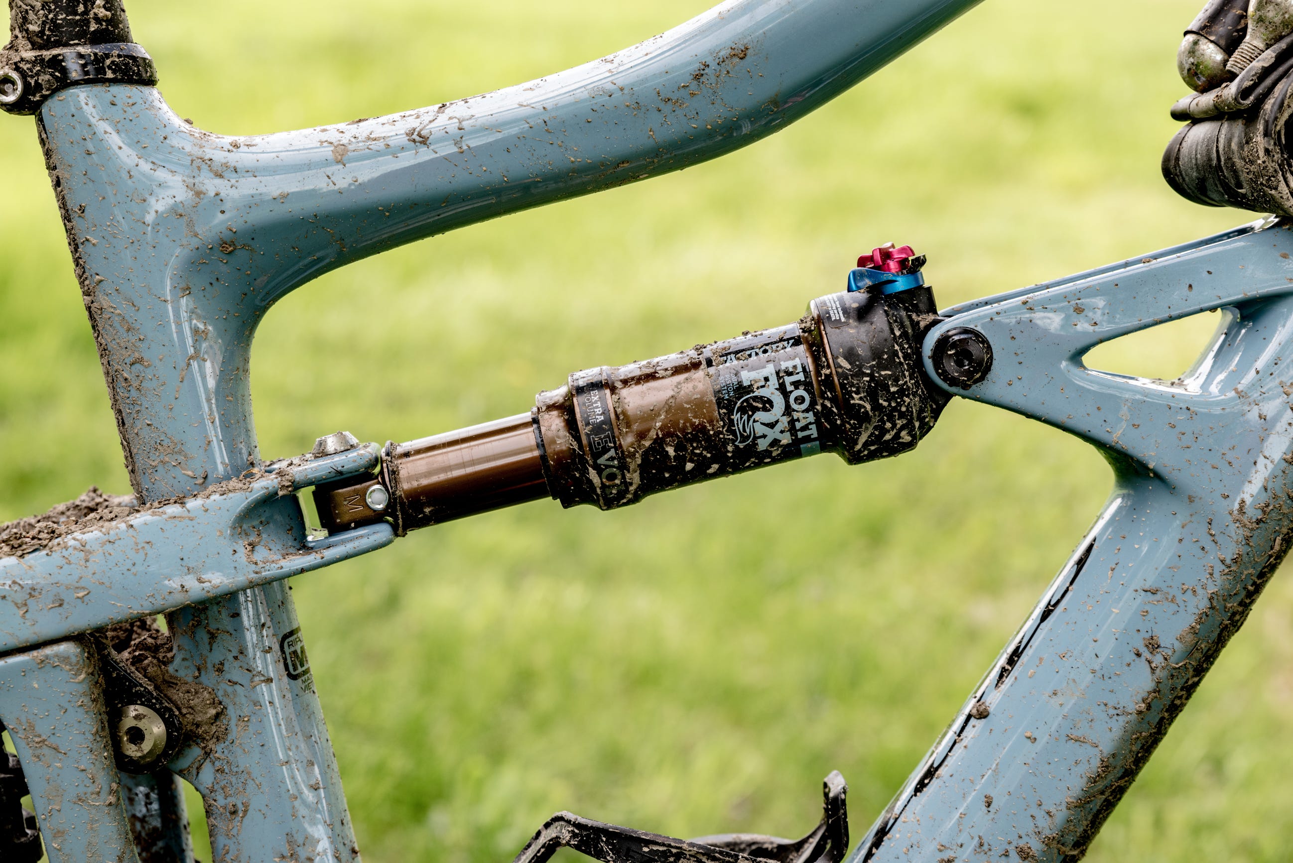 Ruota di bicicletta, Albero, Ramo, Parte della bicicletta, Pianta, Veicolo, Fusto della pianta, Metallo, 