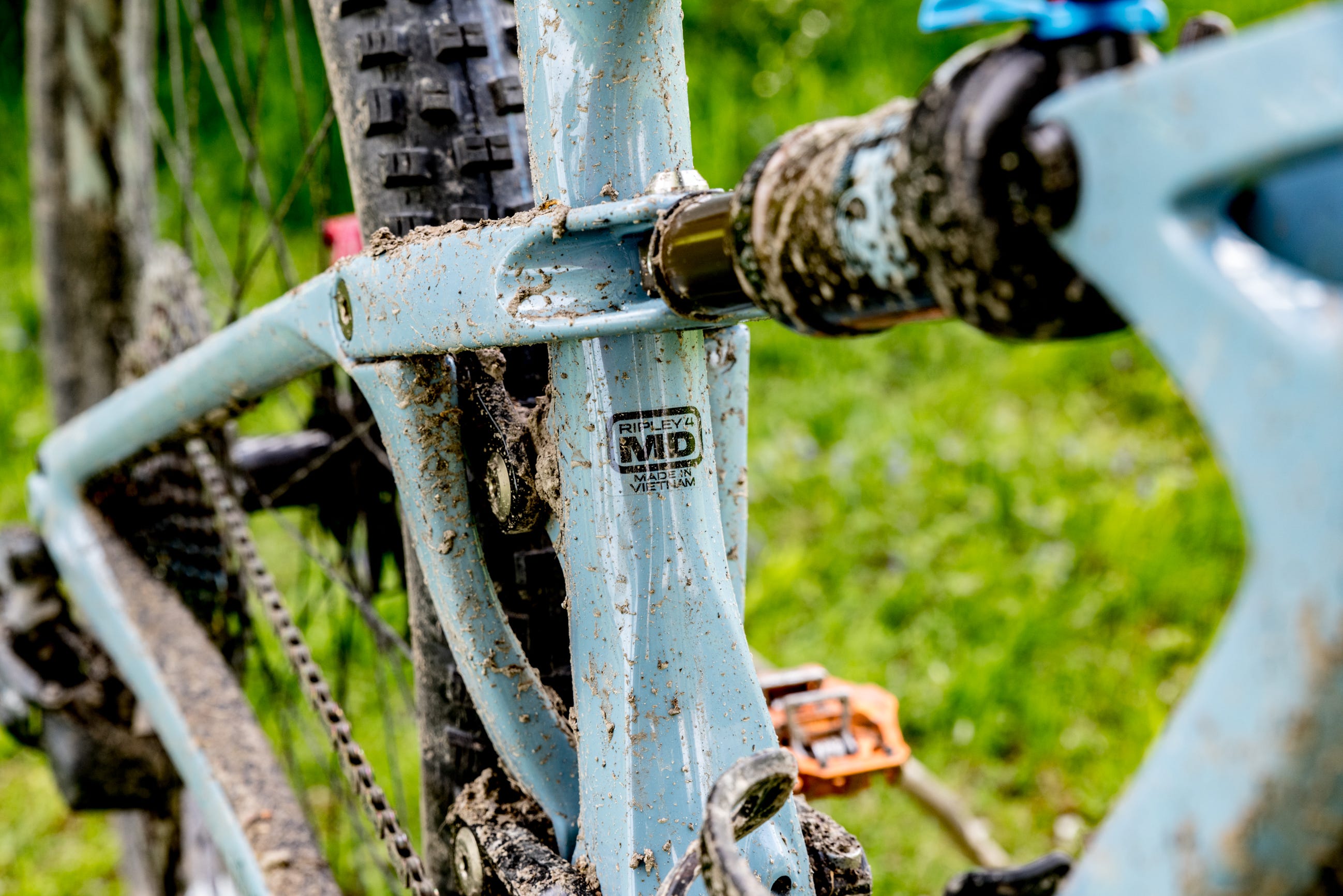 Ruota della bicicletta, Bicicletta, Parte della bicicletta, Albero, Telaio della bicicletta, Veicolo, Parte della trasmissione della bicicletta, Accessorio della bicicletta, Gomma della bicicletta, Impianto, 