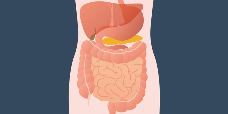 ibs explainer