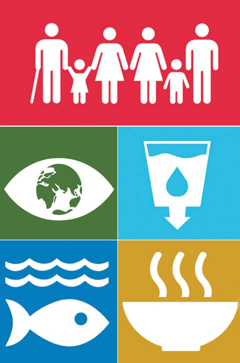 Iconos de sostenibilidad