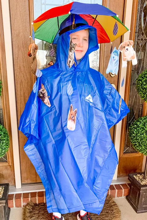boy wearing blue poncho with cat and dog cut out photos attached