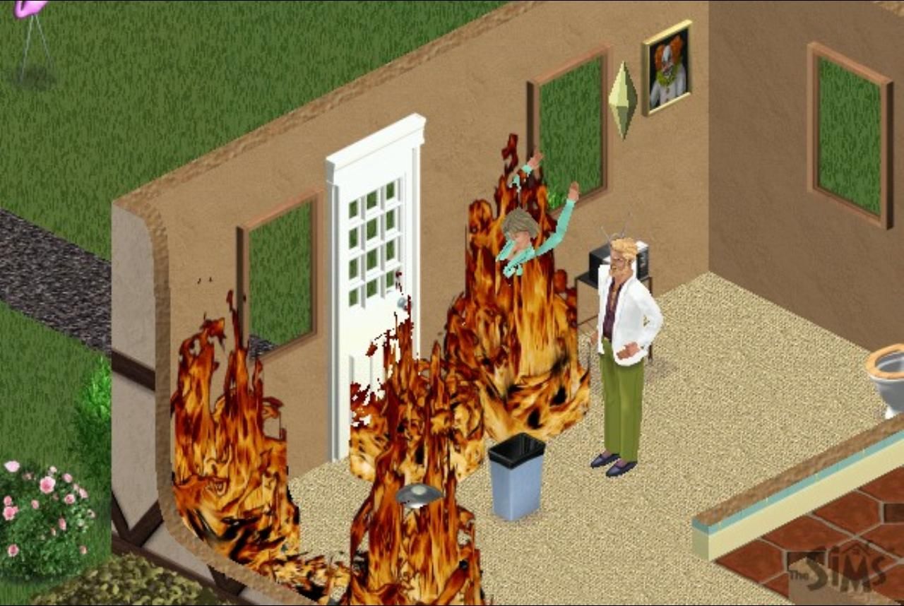 can you play the sims 3 offline on pc