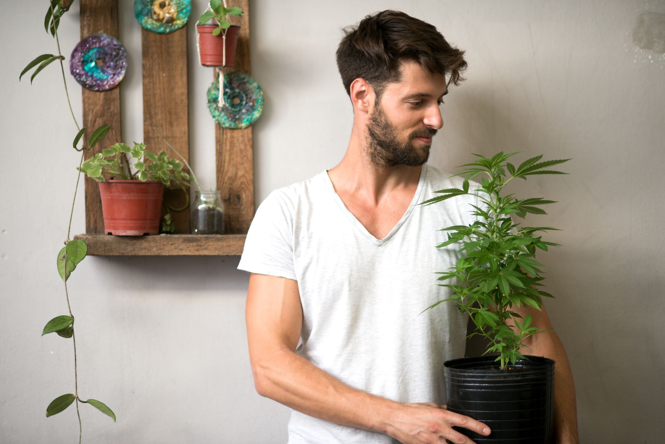 How to Grow Cannabis: 10-Step Guide for Your First Plant