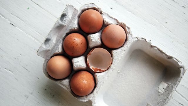 eieren ijzertekort voeding