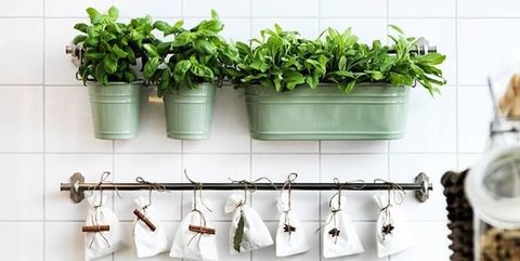 ideas para un huerto de plantas aromaticas en la cocina