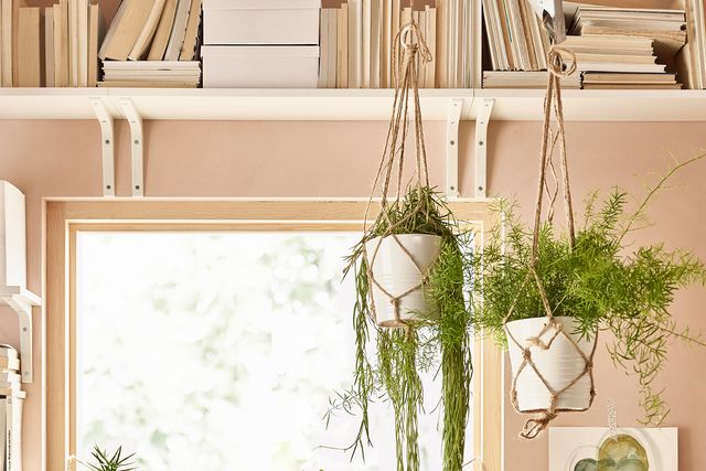 10 ideas de plantas y macetas decorar la casa