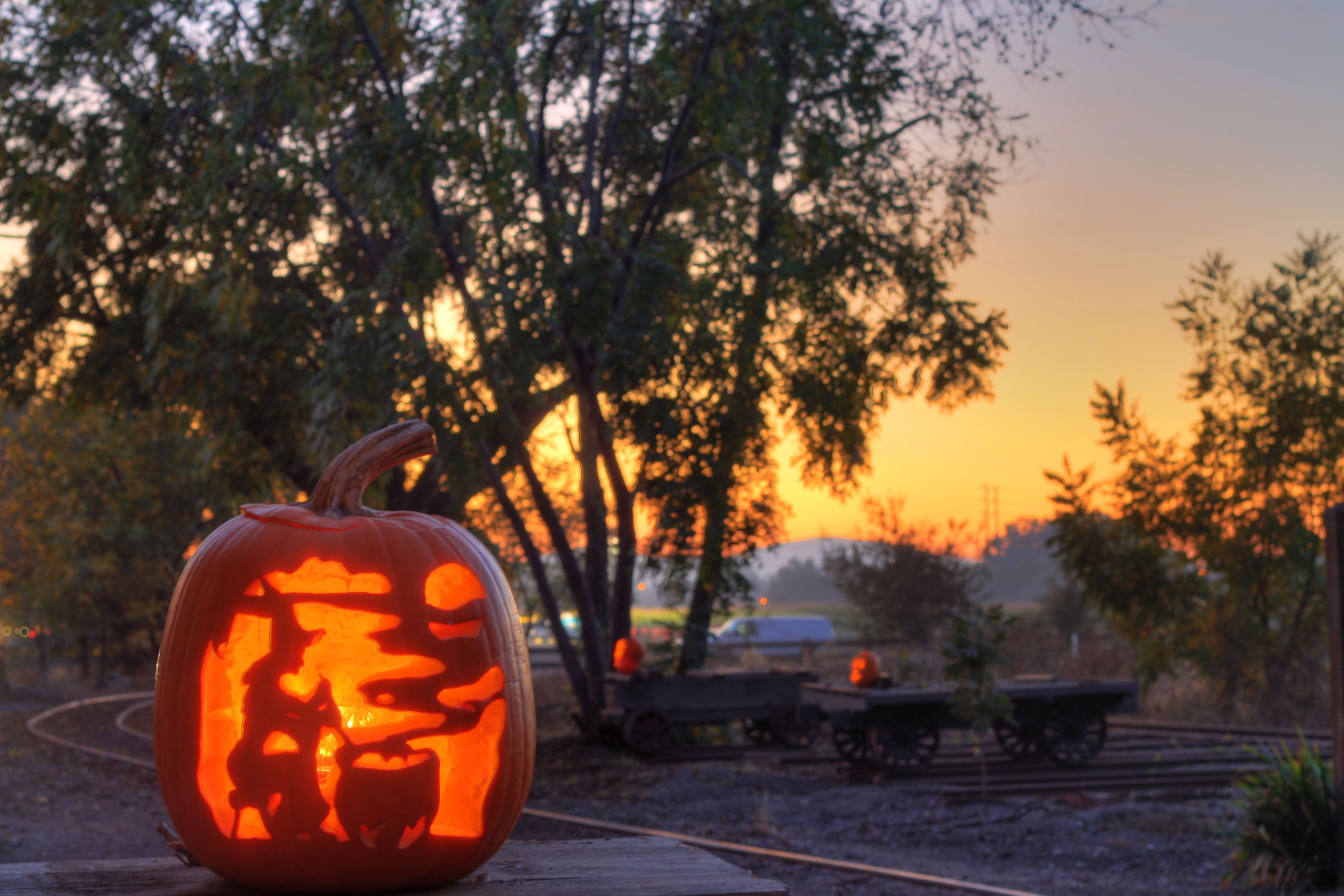 Love heart pumpkin carving