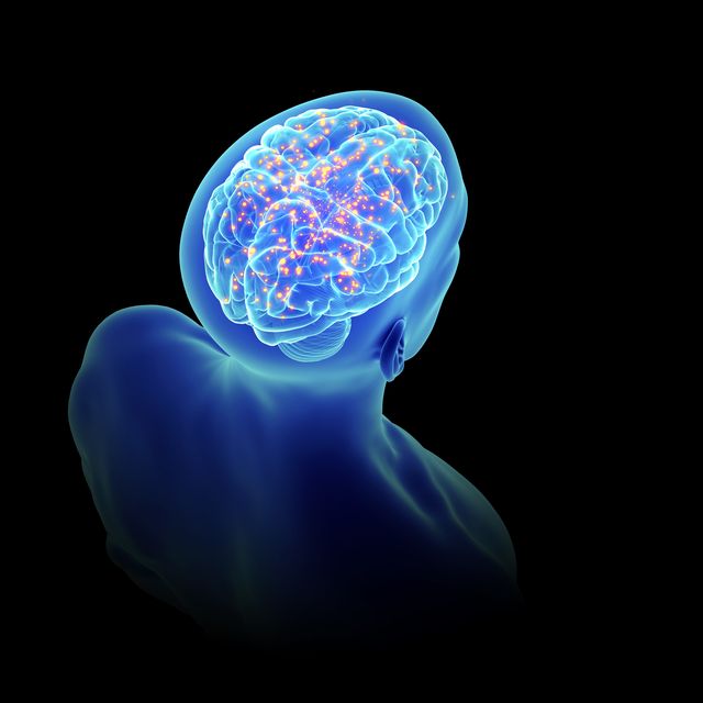 illustration of an activerticale brain