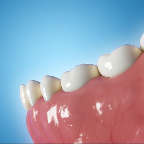 illustration of human teeth