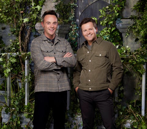 I'm a Celebrity 2020 - Ant and Dec i'm a celebrity 2020 ant and dec standing in front of ivy covered castle doors