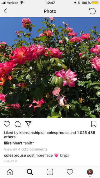 Riverdale's Cole Sprouse Posts Thirsty Comment on Lili Reinhart's ...