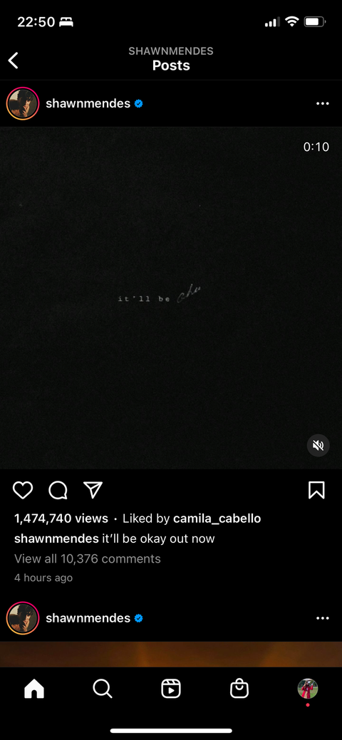 Camila Cabello's response to Shawn Mendes' It'll Be Okay song camila cabello's response to shawn mendes' it'll be okay song