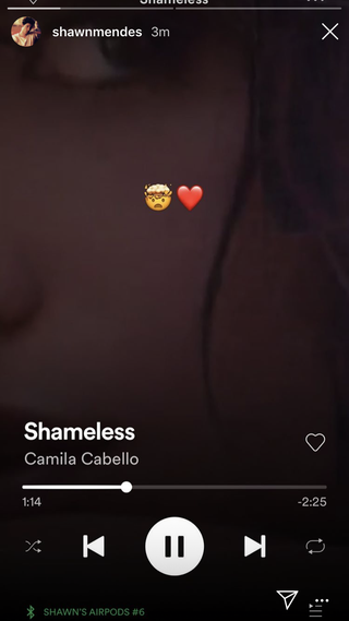 Are Camila Cabellos Shameless Lyrics About Shawn Mendes